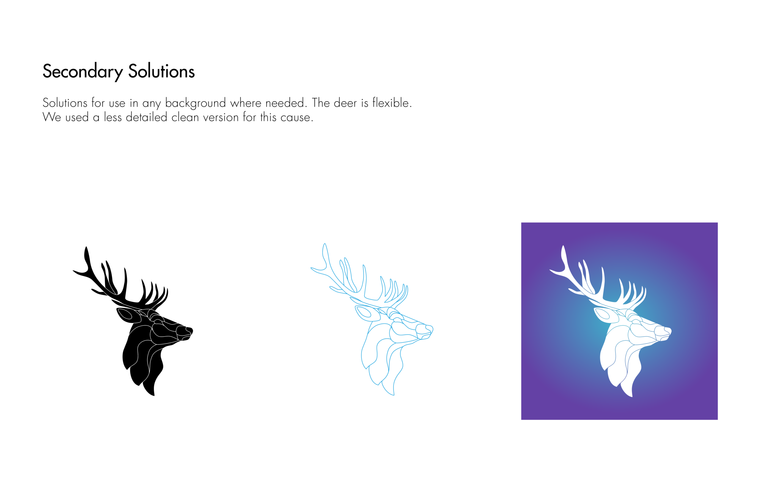 secondary logo options