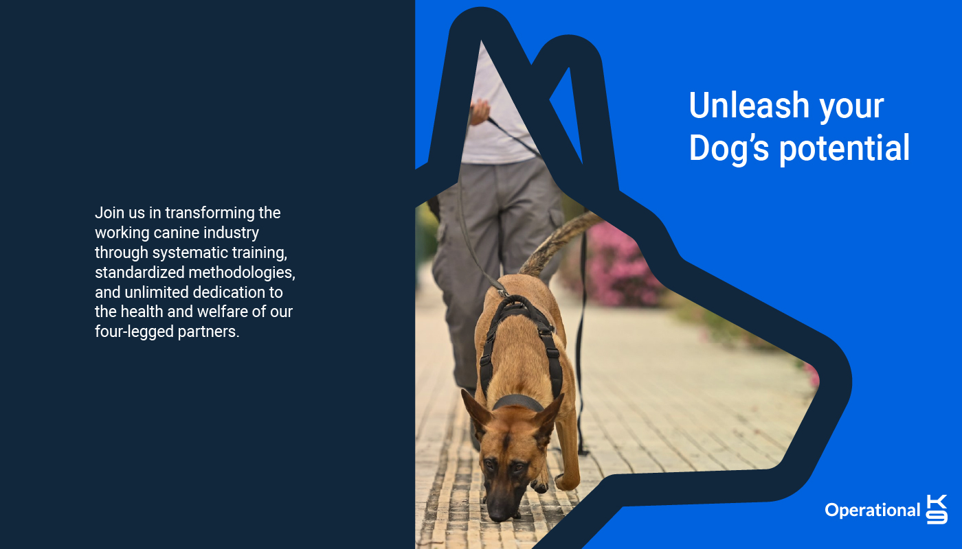 A K9 dog that smells and search on the street. Showcasing logo design and the clean typography for operationalK9 branding design.